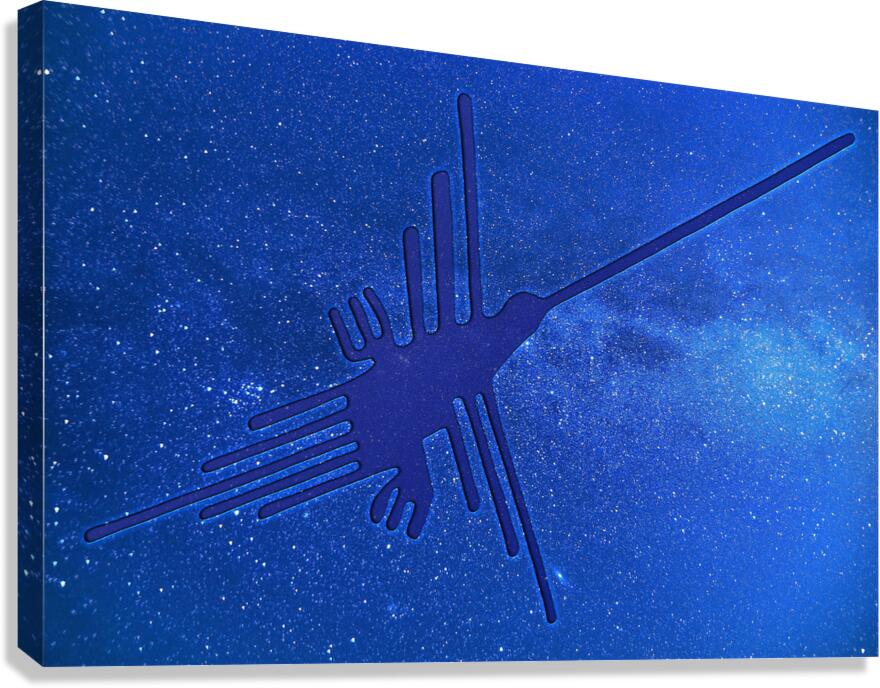Nazca Hummingbird Canvas Print