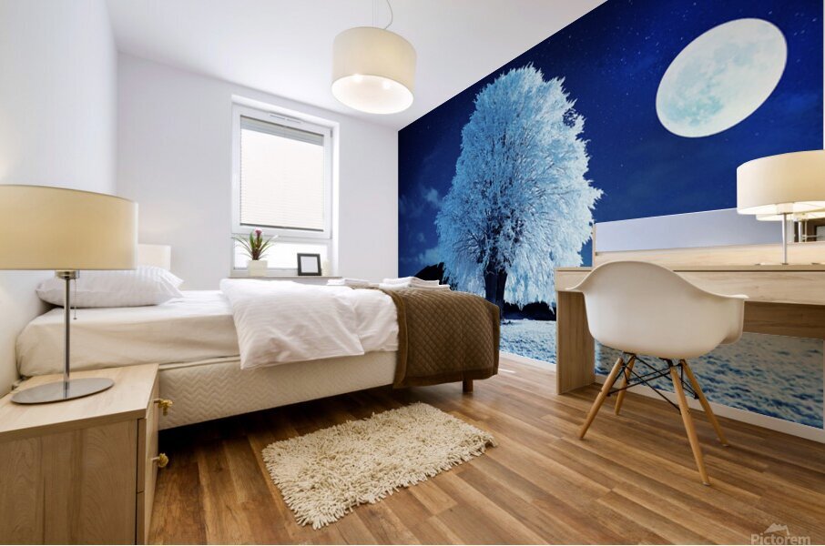 Moonlit Winter Night Mural print