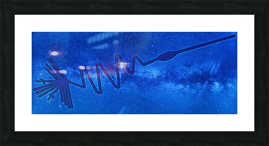 Nazca Heron Picture Frame print