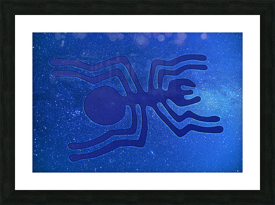 Nazca Spider Picture Frame print