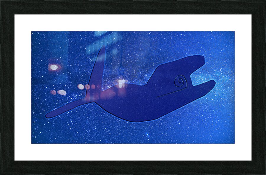 Nazca Whale Picture Frame print
