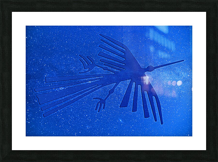 Nazca Condor Picture Frame print