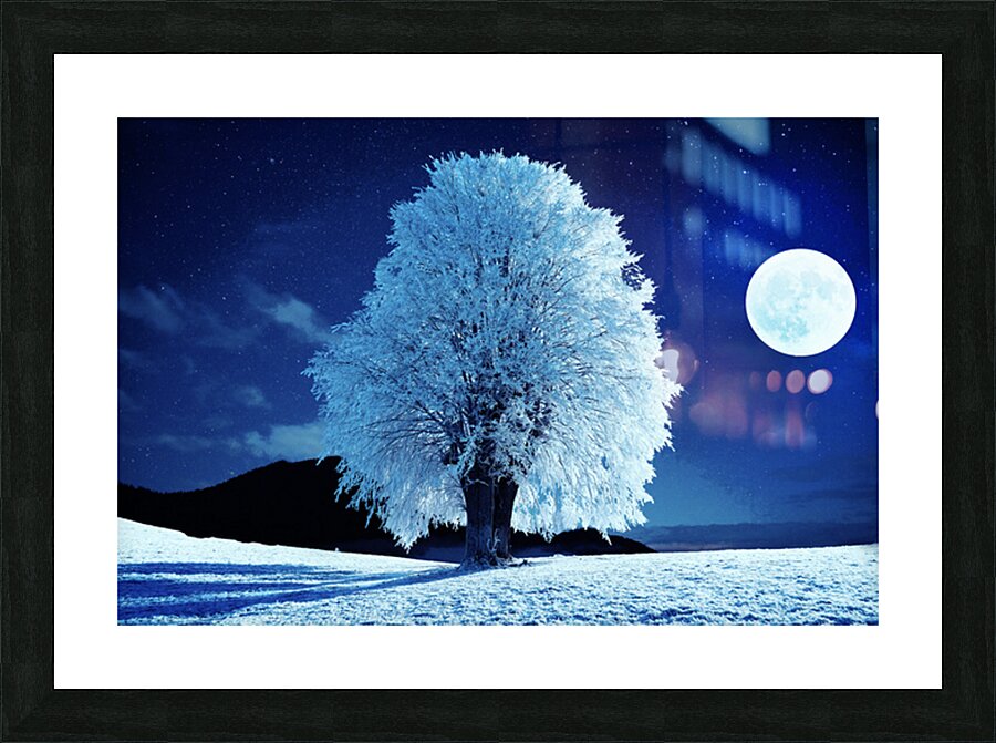 Moonlit Winter Night Picture Frame print