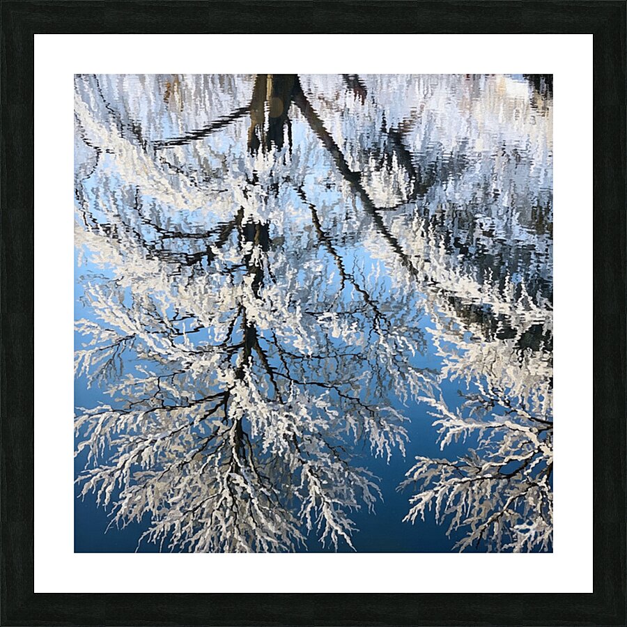 Winter Reflection Picture Frame print