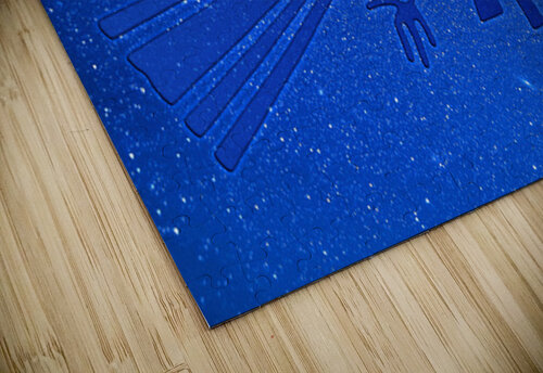Nazca Condor Alex Mir puzzle