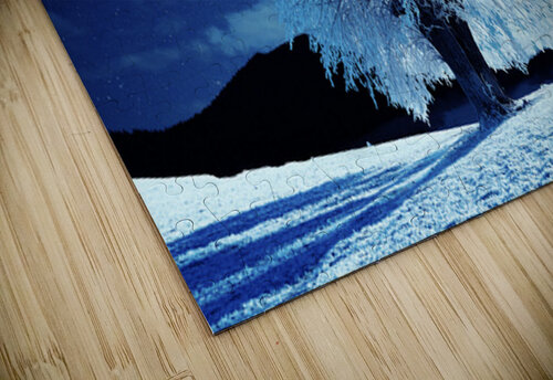 Moonlit Winter Night Alex Mir puzzle