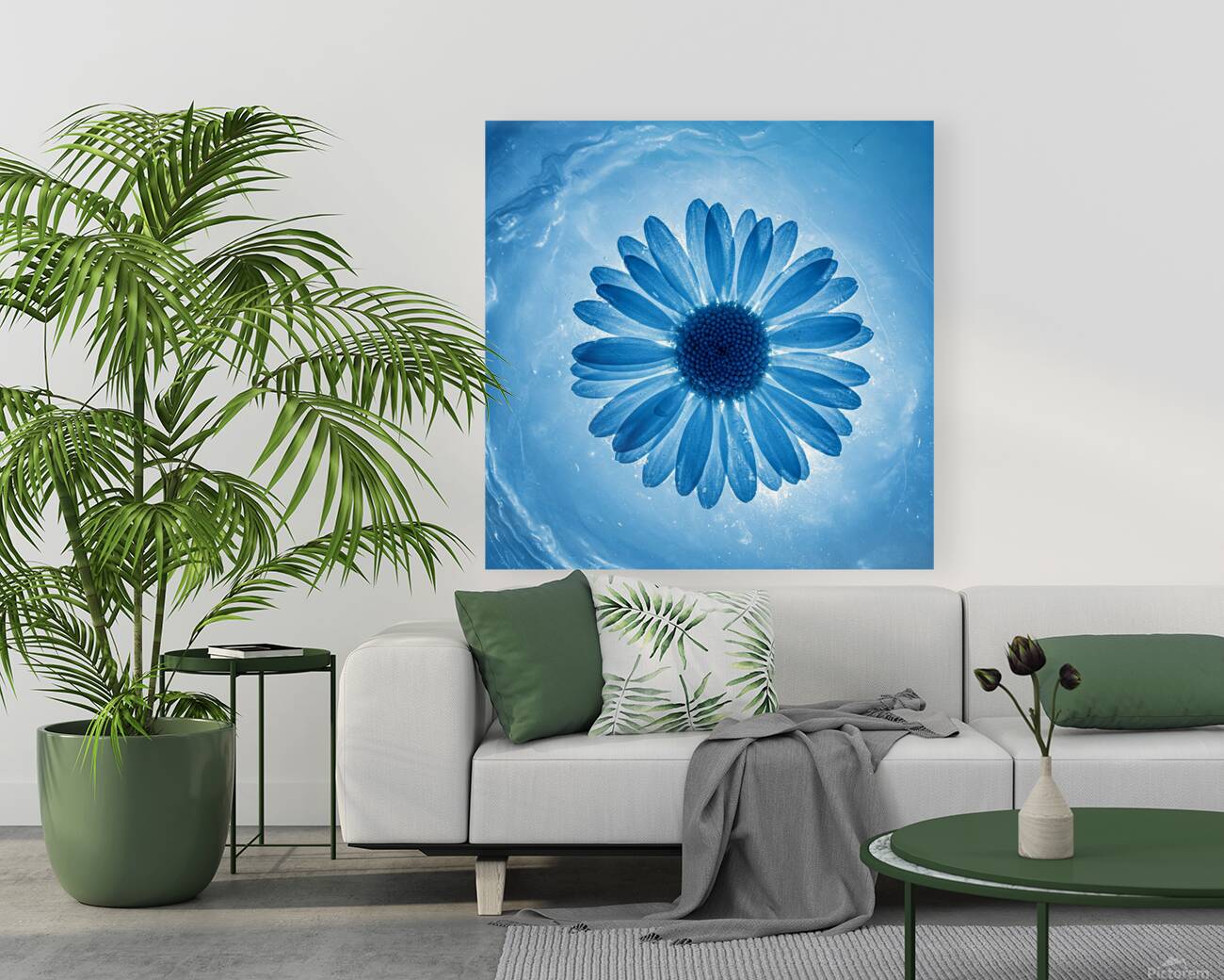 Ice Daisy Flower Reproduction
