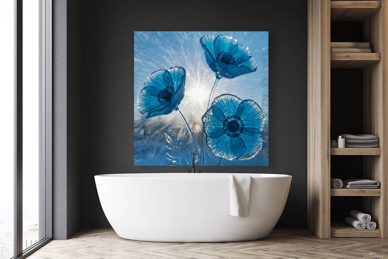 Ice Poppies Reproduction