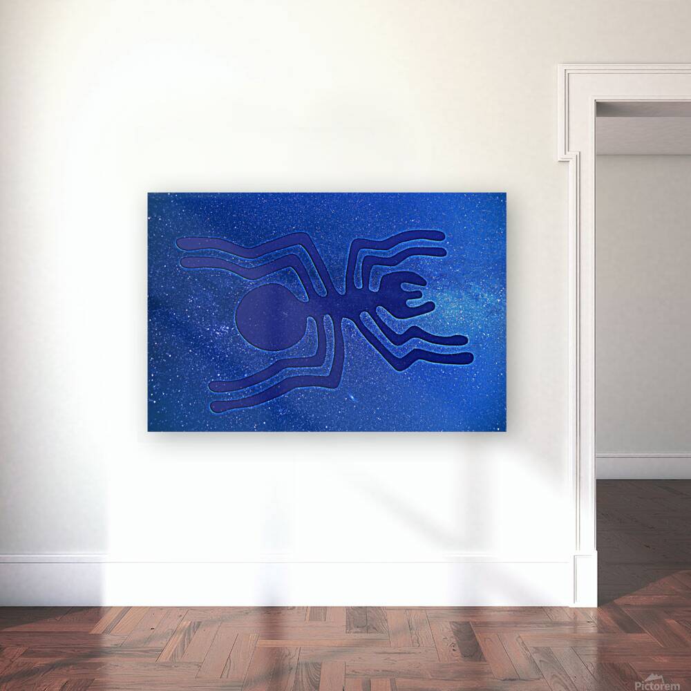 Nazca Spider Reproduction