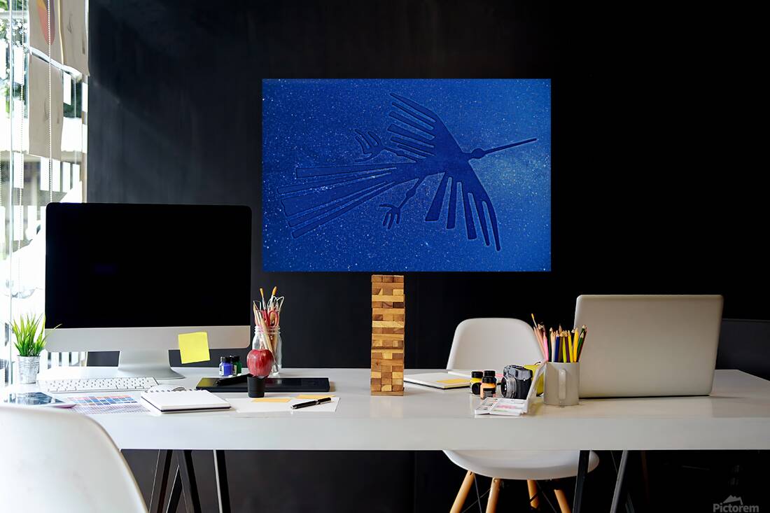 Nazca Condor Reproduction