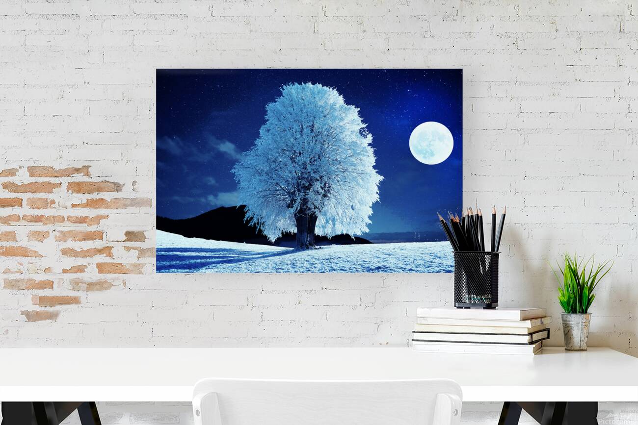 Moonlit Winter Night Reproduction