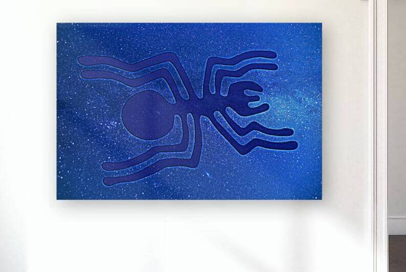 Nazca Spider by Alex Mir