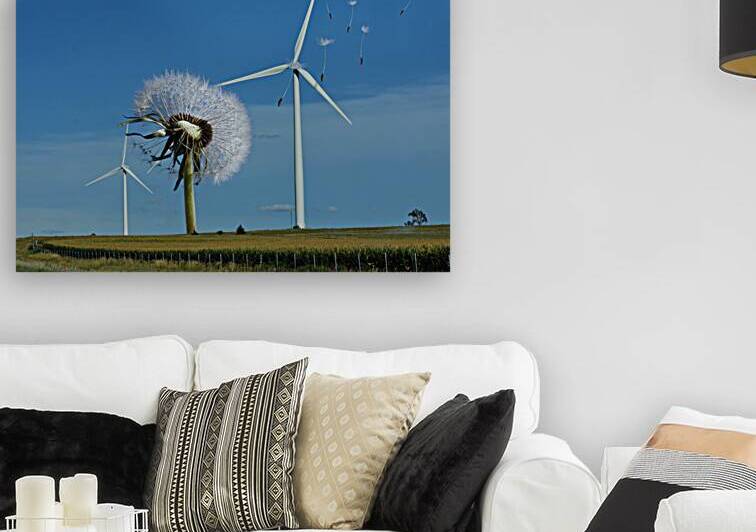 Wind Power by Alex Mir
