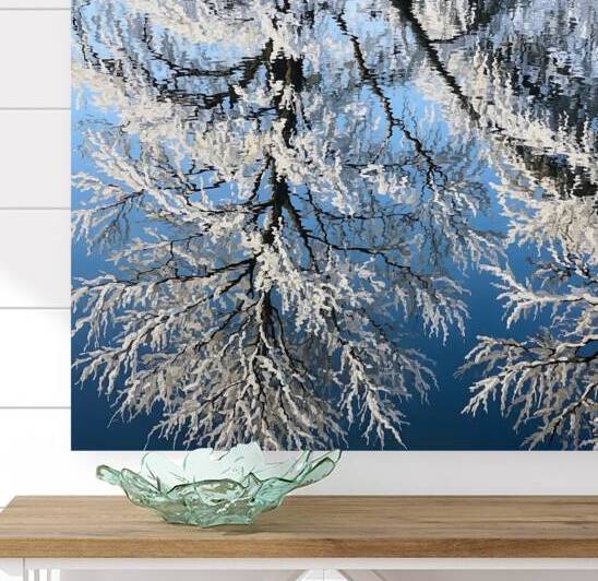 Winter Reflection by Alex Mir