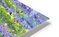 Bluebells HD Metal print