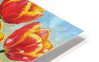 Red Tulips HD Metal print