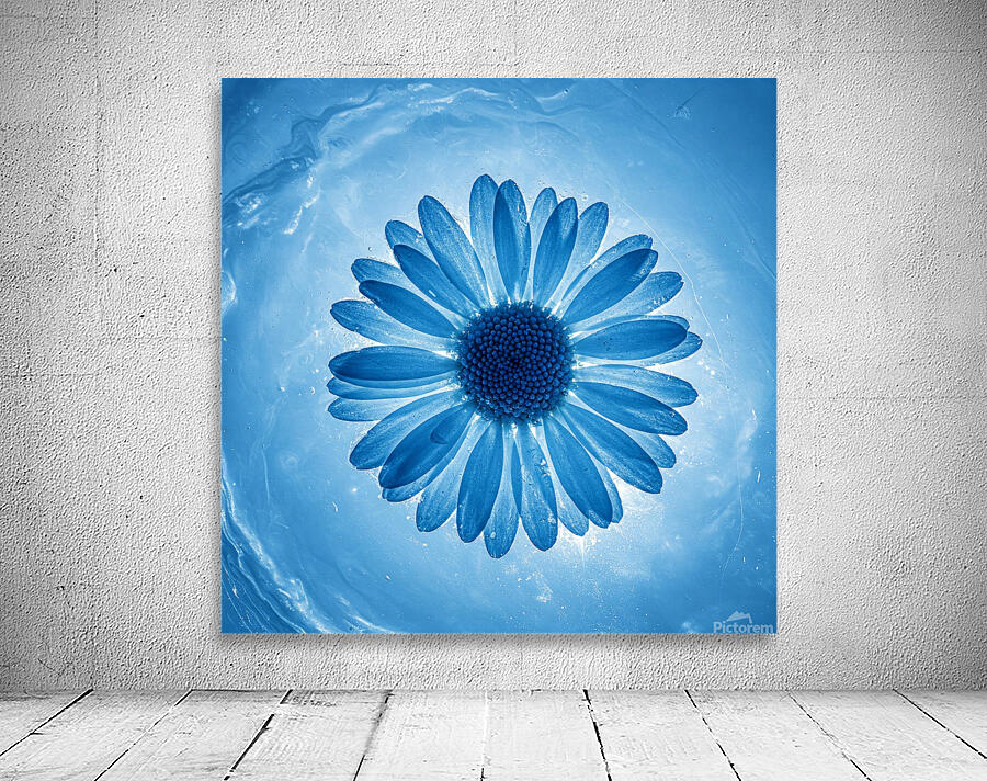 Ice Daisy Flower Wall Preview