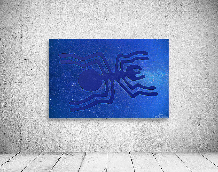 Nazca Spider Wall Preview