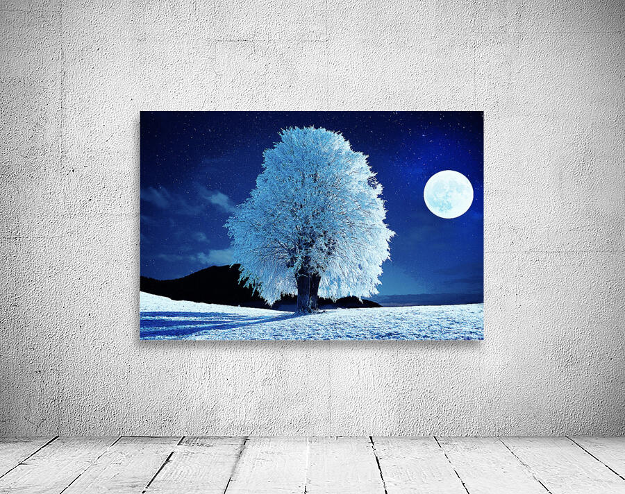 Moonlit Winter Night Wall Preview