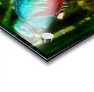 Jewel of the Cloud Forest Impression Acrylique