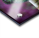 Quiet Jewel Impression Acrylique