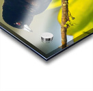 Skyfire Starling Impression Acrylique