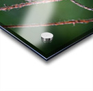 Dance of Nectar Impression Acrylique