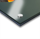 Fire in the Canopy Acrylic print