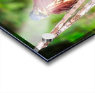 Little Forest Acrobat Impression Acrylique