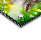 Silent Sentinel Impression Acrylique