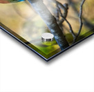 Tropical Whisper Acrylic print