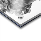 Fragmented Muse Impression Acrylique