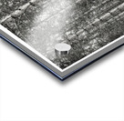 Forest Patterns Acrylic print