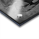 Elephants at the Waterhole Acrylic print