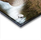 Cheetah by the Water Acrylic print