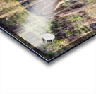 Jackal in the Grass Impression Acrylique