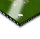 Glass Frog on Leaf Acrylic print