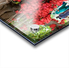 Wishes in Red Impression Acrylique