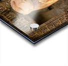 Guardian of Stone Acrylic print