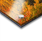 Pathway to Autumn Impression Acrylique