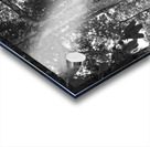 Roots of Time Acrylic print