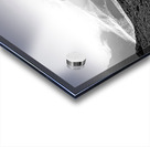 Frozen Kingdom Impression Acrylique