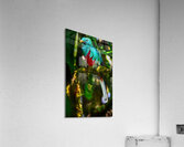 Jewel of the Cloud Forest Impression acrylique