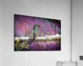 Quiet Jewel Impression acrylique