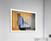 Blue Wing Beauty Acrylic Print