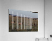 Sentinels of the Plains Acrylic Print