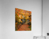 Pathway to Autumn Impression acrylique