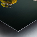 Golden Morning Song Metal print