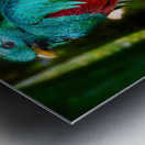 Jewel of the Cloud Forest Impression metal