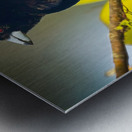 Skyfire Starling Impression metal